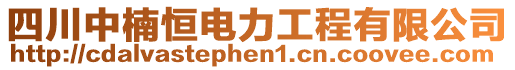 四川中楠恒電力工程有限公司