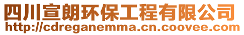 四川宣朗環(huán)保工程有限公司