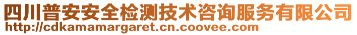 四川普安安全檢測技術咨詢服務有限公司