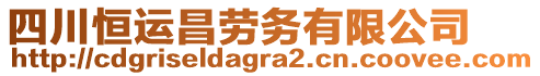 四川恒運昌勞務(wù)有限公司