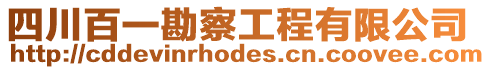 四川百一勘察工程有限公司