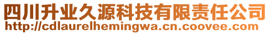 四川升業(yè)久源科技有限責(zé)任公司