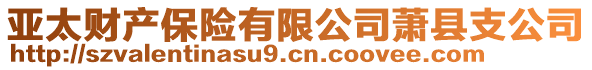 亞太財(cái)產(chǎn)保險(xiǎn)有限公司蕭縣支公司