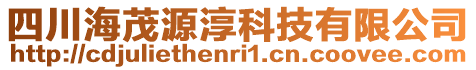 四川海茂源淳科技有限公司