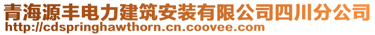 青海源豐電力建筑安裝有限公司四川分公司