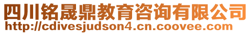 四川銘晟鼎教育咨詢有限公司