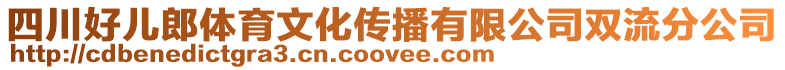 四川好兒郎體育文化傳播有限公司雙流分公司