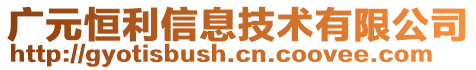 廣元恒利信息技術(shù)有限公司