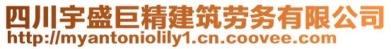 四川宇盛巨精建筑勞務有限公司