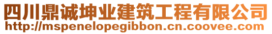 四川鼎誠坤業(yè)建筑工程有限公司