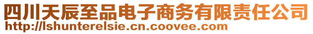 四川天辰至品電子商務有限責任公司