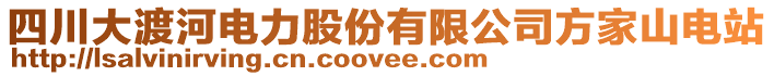 四川大渡河電力股份有限公司方家山電站