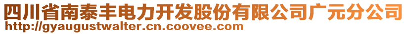 四川省南泰豐電力開發(fā)股份有限公司廣元分公司