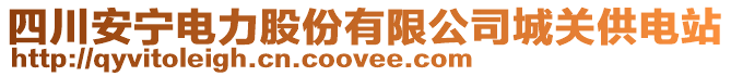 四川安寧電力股份有限公司城關(guān)供電站