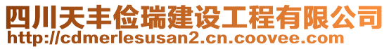 四川天豐儉瑞建設(shè)工程有限公司