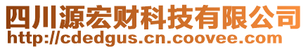 四川源宏財科技有限公司