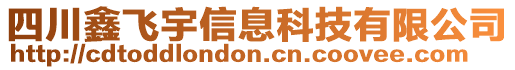 四川鑫飛宇信息科技有限公司