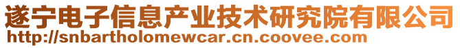 遂寧電子信息產業技術研究院有限公司