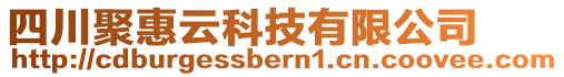 四川聚惠云科技有限公司