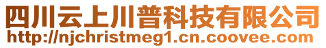 四川云上川普科技有限公司