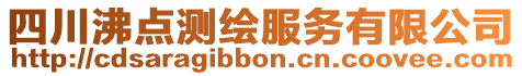 四川沸點(diǎn)測(cè)繪服務(wù)有限公司