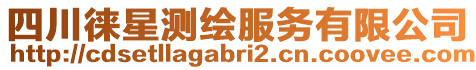 四川徠星測繪服務(wù)有限公司