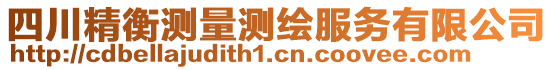 四川精衡測量測繪服務(wù)有限公司