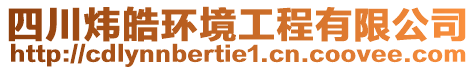 四川煒皓環(huán)境工程有限公司