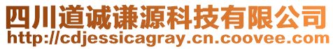 四川道誠謙源科技有限公司