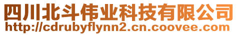 四川北斗偉業(yè)科技有限公司