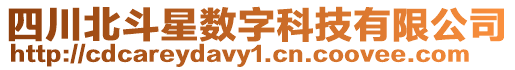 四川北斗星數(shù)字科技有限公司