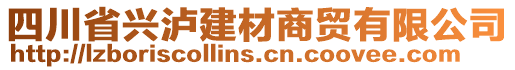 四川省兴泸建材商贸有限公司