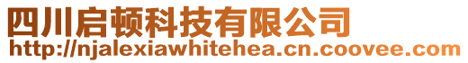 四川啟頓科技有限公司