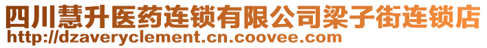 四川慧升醫(yī)藥連鎖有限公司梁子街連鎖店