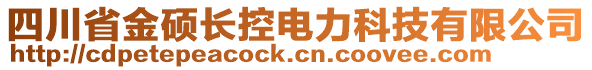 四川省金碩長控電力科技有限公司