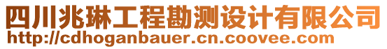 四川兆琳工程勘測設(shè)計有限公司