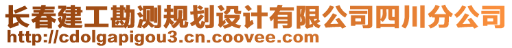 長春建工勘測規(guī)劃設(shè)計有限公司四川分公司