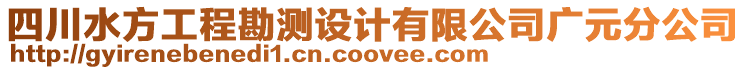 四川水方工程勘測(cè)設(shè)計(jì)有限公司廣元分公司