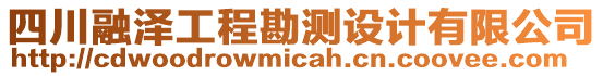 四川融澤工程勘測設(shè)計有限公司