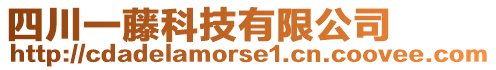 四川一藤科技有限公司