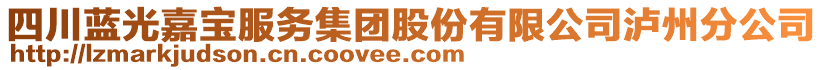 四川藍(lán)光嘉寶服務(wù)集團(tuán)股份有限公司瀘州分公司