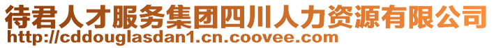 待君人才服務集團四川人力資源有限公司