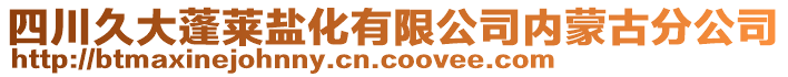 四川久大蓬萊鹽化有限公司內(nèi)蒙古分公司