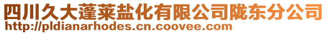 四川久大蓬萊鹽化有限公司隴東分公司