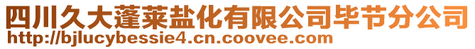四川久大蓬萊鹽化有限公司畢節分公司