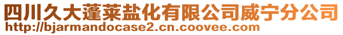 四川久大蓬萊鹽化有限公司威寧分公司