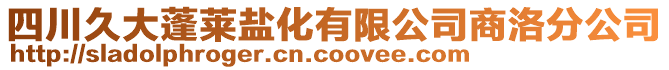 四川久大蓬萊鹽化有限公司商洛分公司