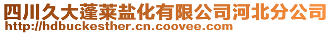 四川久大蓬莱盐化有限公司河北分公司