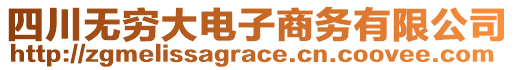 四川無窮大電子商務(wù)有限公司