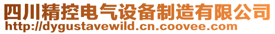 四川精控電氣設(shè)備制造有限公司